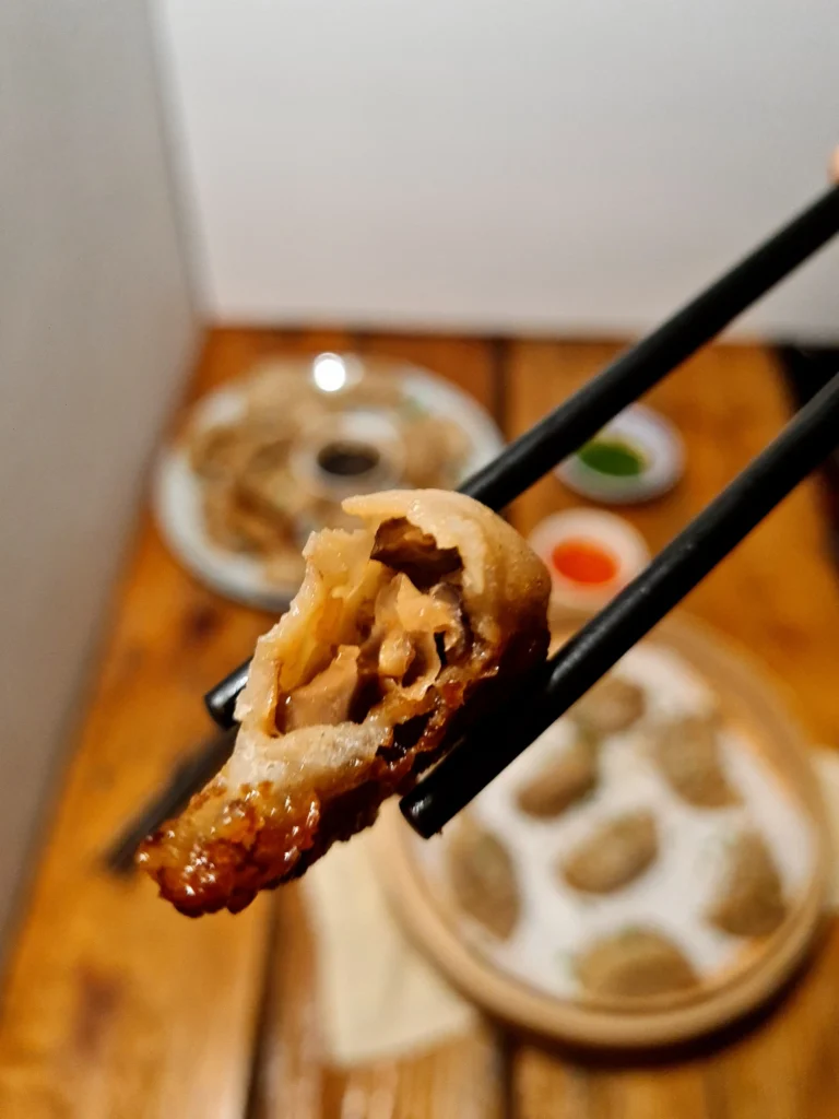 dumpling-held-by-chopsticks-closeup